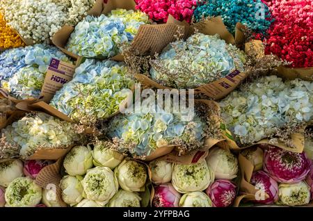 Mazzi di loto (Nelumbo nucifera), ortensie (Hydrangeaceae) e altri fiori in vendita sul ciglio della strada ad Hanoi, Vietnam. Foto Stock