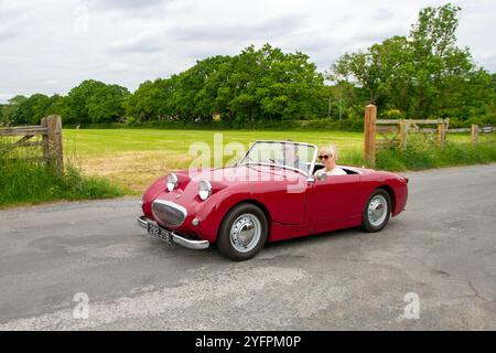 1959 50 anni Cinquanta Red Austin Healey Sprite soft-top Car benzina 948 cc; motori classici britannici, collezionisti di automobili, appassionati di motori e auto storiche che viaggiano a Eccleston, Regno Unito Foto Stock
