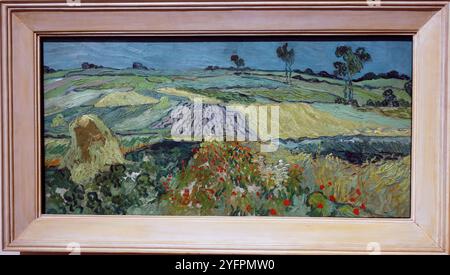 Museo del Belvedere. Vincent van Gogh 1853 - 1890. La pianura di Auvers. 1890. Vienna. Austria. Foto Stock