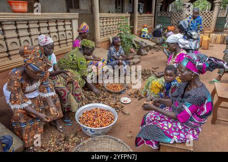 Abitanti del villaggio che lavorano frutta di palma per olio a Dokoue, Benin Foto Stock