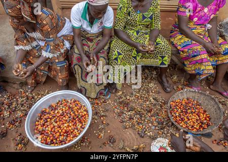 Abitanti del villaggio che lavorano frutta di palma per olio a Dokoue, Benin Foto Stock