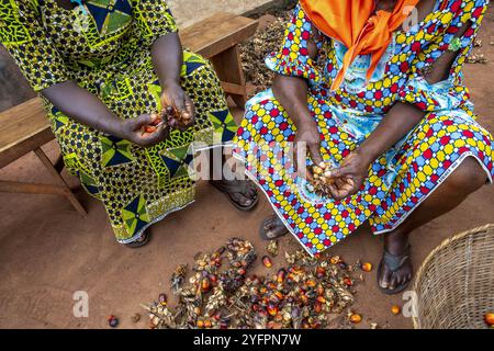 Abitanti del villaggio che lavorano frutta di palma per olio a Dokoue, Benin Foto Stock