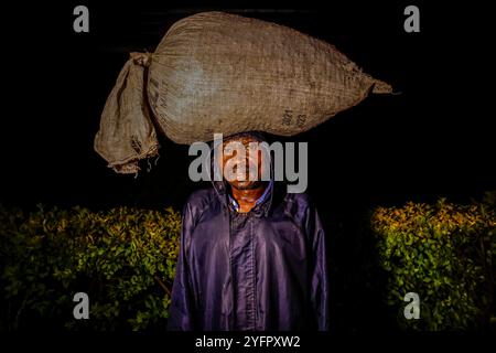 Coltivatore che porta le ciliegie di caffè in una stazione di lavaggio del caffè, nel distretto di Rutsiro, nella provincia settentrionale, in Ruanda Foto Stock