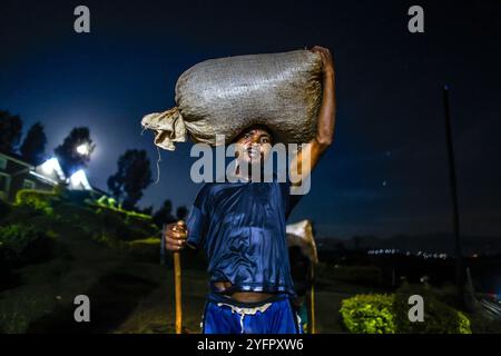 Coltivatore che porta le ciliegie di caffè in una stazione di lavaggio del caffè, nel distretto di Rutsiro, nella provincia settentrionale, in Ruanda Foto Stock