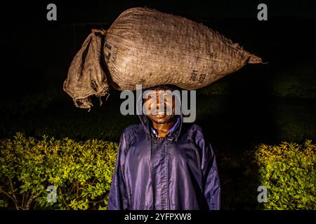 Coltivatore che porta le ciliegie di caffè in una stazione di lavaggio del caffè, nel distretto di Rutsiro, nella provincia settentrionale, in Ruanda Foto Stock