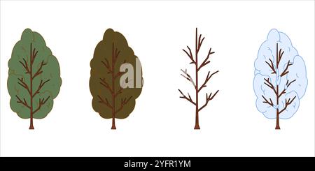 Alberi ciclo di fase natura cambiamento dell'ambiente vegetale stagione estiva primavera autunno autunno inverno foglie colorate botaniche floreali di design stagionale insieme iconico Illustrazione Vettoriale