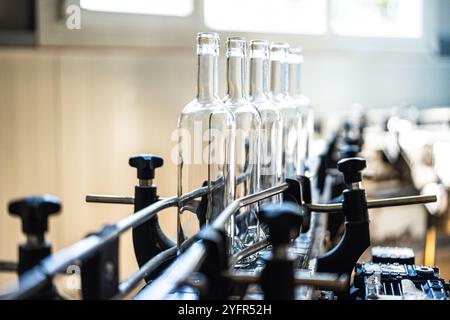 Linea di bottiglie di vetro vuote su un nastro trasportatore, presso una fabbrica di imbottigliamento di bevande. Foto Stock