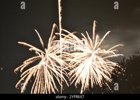 Spettacolo di fuochi d'artificio Chard Somerset Inghilterra regno unito 2024 Foto Stock