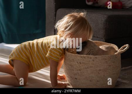 Un bambino piccolo con un onesie a strisce gialle si inginocchia giocando con un gatto che riposa all'interno di un comodo cesto in tessuto. La luce del sole scorre attraverso un vicino Foto Stock