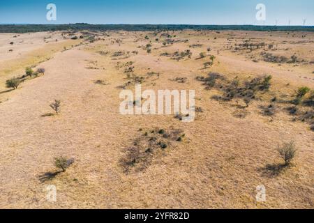 Una vista aerea panoramica del deserto della Serbia Deliblatska Pescara rivela una vasta distesa di pianure vuote e colline ondulate sotto un cielo limpido Foto Stock