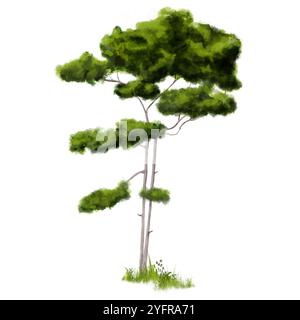 Snello pino verde con aghi lussureggianti. Illustrazione digitale acquerello. Carino albero di conifere isolato su sfondo bianco. Cespugli di erba selvatica. Foto Stock
