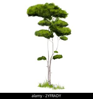 Snello pino verde con aghi lussureggianti. Illustrazione digitale acquerello. Carino albero di conifere isolato su sfondo bianco. Cespugli di erba selvatica. Foto Stock