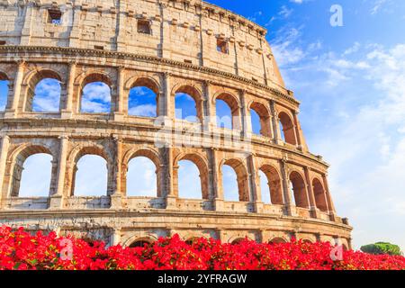 Roma, Italia. Colosseo o Colosseo. Foto Stock