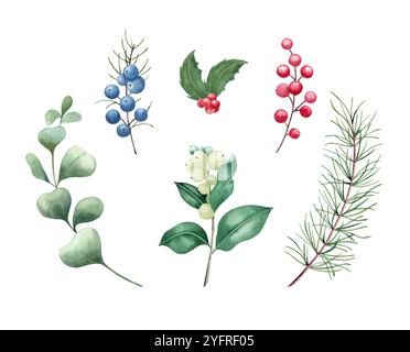 Elementi botanici invernali. Illustrazione disegnata a mano con acquerello. Eucalipto, bacche di neve, ginepro, holly. Foto Stock