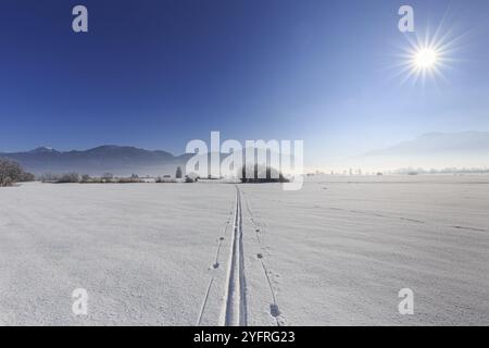 Sci di fondo, pista da sci, neve, raggi di sole, Cold, Loisach-Lake Kochel-Moor, Prealpi alpini, Baviera, Germania, Europa Foto Stock