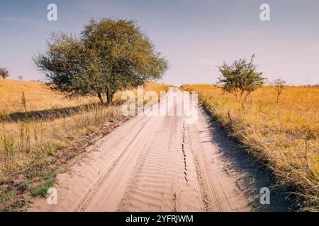 Una vista panoramica del deserto della Serbia Deliblatska Pescara rivela una vasta distesa di pianure vuote e colline ondulate sotto un cielo limpido Foto Stock