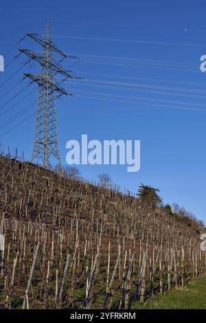 Osserva l'armoniosa miscela di tecnologia e natura mentre le linee elettriche si innalzano orgogliosamente su una collina, affacciandosi sul pittoresco paesaggio autunnale in Germania Foto Stock