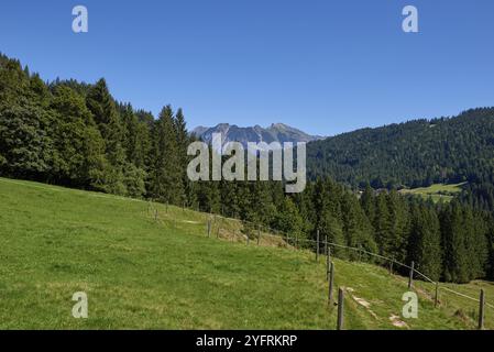 Presentazione della beatitudine alpina: Prati e foreste sempreverdi sotto i cieli estivi. Maestà di montagna catturata: Pascoli al pascolo e pendii Pine-Laden in estate. Foto Stock