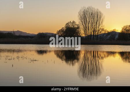 Prato allagato al tramonto con riflessi nell'acqua. Alsazia, Francia, Europa Foto Stock