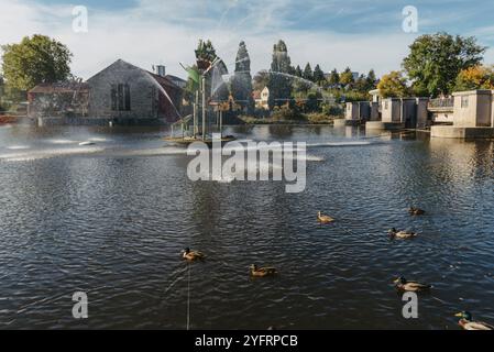 Anatre sul lago nel parco. Parco in autunno. Alberi autunnali. Anatre selvatiche si riflettono nel lago. Piume di uccello multicolore. Uno stagno con duc selvatico Foto Stock