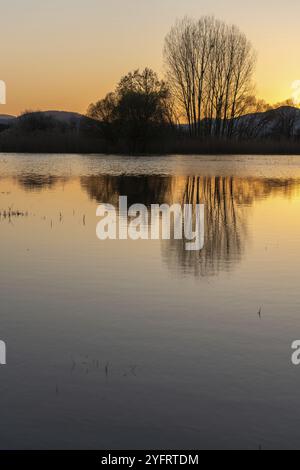 Prato allagato al tramonto con riflessi nell'acqua. Alsazia, Francia, Europa Foto Stock