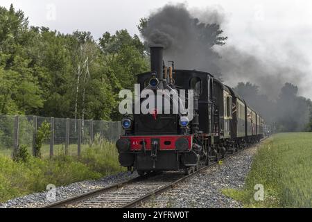 Locomotiva a vapore della ferrovia turistica del Reno in primavera. Volgelsheim, Alsazia, Francia, Europa Foto Stock