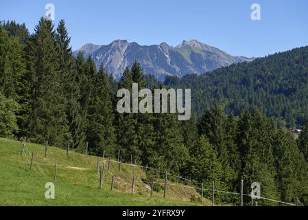 Presentazione della beatitudine alpina: Prati e foreste sempreverdi sotto i cieli estivi. Maestà di montagna catturata: Pascoli al pascolo e pendii Pine-Laden in estate. Foto Stock