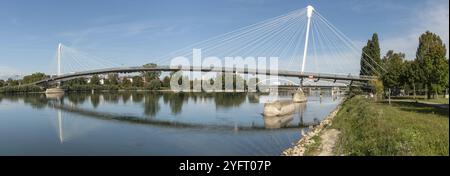 Ponte pedonale Deux Rives, ponte per pedoni e ciclisti sul Reno tra Kehl e Strasburgo. Il ponte simboleggia la pace in Europa. Panoramica Foto Stock