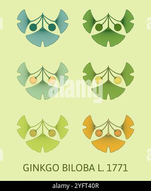 Serie di illustrazioni vettoriali di foglie e frutti di ginkgo biloba utilizzando il metodo della geometria sacra. Illustrazione Vettoriale