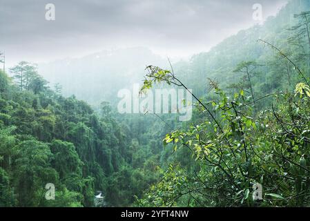 Cascata Datanla altopiani centrali Dalat Vietnam, Sud-est asiatico Foto Stock