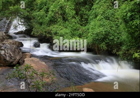 Gorgogliante ruscello della cascata Datanla nella città di da Lat (Dalat), Vietnam. Foto Stock