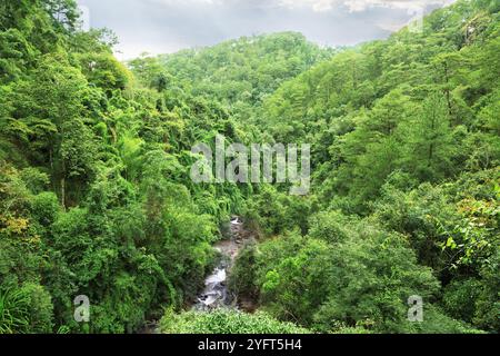 Splendido paesaggio boschivo soleggiato con cascata Datanla nella città di da Lat (Dalat), Vietnam Foto Stock