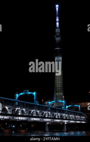 Tokyo Sky Tree e fiume Sumida, paesaggio notturno, Tokyo, Giappone © Giorgia De dato Foto Stock