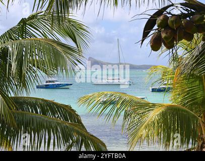 Paradise Beach con palme da cocco e vista sull'oceano a Mauritius. Foto Stock
