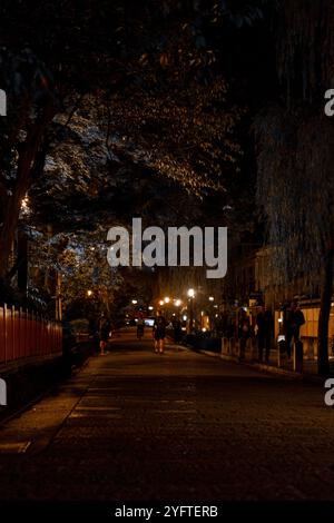 Kyoto Street by night, Giappone © Giorgia De dato Foto Stock