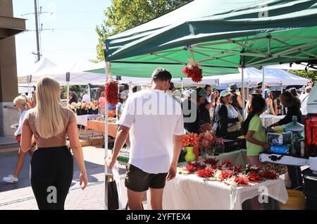 Mercato agricolo del fine settimana di Santa Fe nella Santa Fe Railyard nel New Mexico, Stati Uniti. Foto Stock