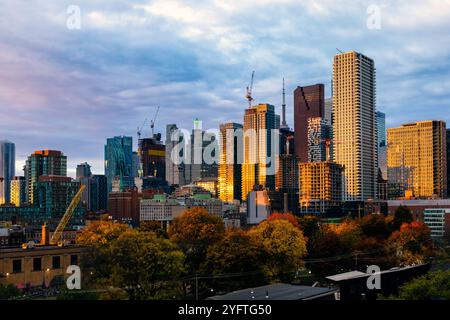 La luce del sole di prima mattina si riflette fuori dagli edifici del centro, creando un bagliore dorato riecheggiato nelle foglie autunnali. Foto Stock