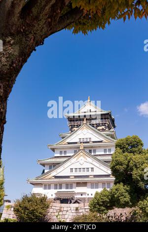 Autunno nel castello di Osaka, Osaka, Kansai, Giappone Foto Stock