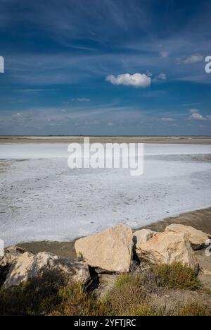 Saltpan, Etang de Vaccares, Saintes-Maries-de-la-Mer, Camargue, Francia. Foto Stock