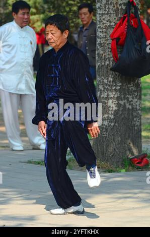 Decine di residenti di Pechino che praticano Tai chi nel grande parco di Pechino che circonda il Tempio del Paradiso. Foto Stock