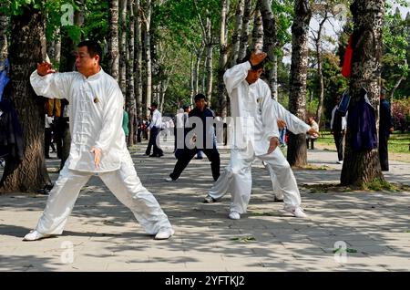 Decine di residenti di Pechino che praticano Tai chi nel grande parco di Pechino che circonda il Tempio del Paradiso. Foto Stock