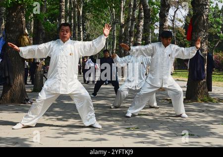 Decine di residenti di Pechino che praticano Tai chi nel grande parco di Pechino che circonda il Tempio del Paradiso. Foto Stock