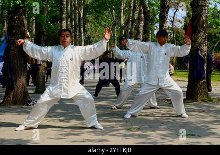 Decine di residenti di Pechino che praticano Tai chi nel grande parco di Pechino che circonda il Tempio del Paradiso. Foto Stock