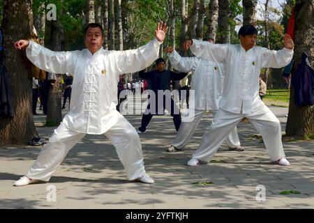 Decine di residenti di Pechino che praticano Tai chi nel grande parco di Pechino che circonda il Tempio del Paradiso. Foto Stock