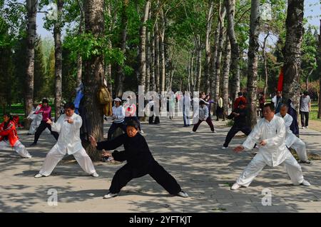 Decine di residenti di Pechino che praticano Tai chi nel grande parco di Pechino che circonda il Tempio del Paradiso. Foto Stock