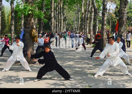 Decine di residenti di Pechino che praticano Tai chi nel grande parco di Pechino che circonda il Tempio del Paradiso. Foto Stock