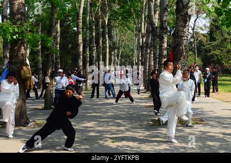 Decine di residenti di Pechino che praticano Tai chi nel grande parco di Pechino che circonda il Tempio del Paradiso. Foto Stock