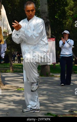 Decine di residenti di Pechino che praticano Tai chi nel grande parco di Pechino che circonda il Tempio del Paradiso. Foto Stock