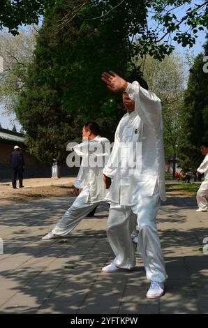 Decine di residenti di Pechino che praticano Tai chi nel grande parco di Pechino che circonda il Tempio del Paradiso. Foto Stock