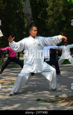 Decine di residenti di Pechino che praticano Tai chi nel grande parco di Pechino che circonda il Tempio del Paradiso. Foto Stock